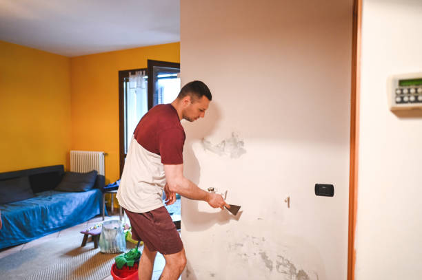 Best Fast Mold Removal  in Liverpool, NY